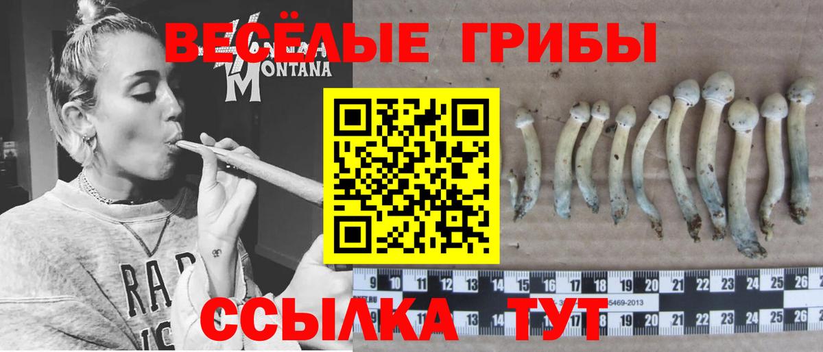 Псилоцибиновые грибы Magic Shrooms  Вход с VPN  Галлюциногенные грибы Psilocybine cubensis  Нурлат 